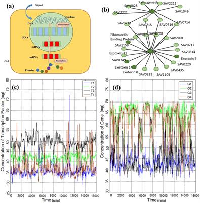 Gene Expression Is Not Random: Scaling, Long-Range Cross-Dependence, and Fractal Characteristics of Gene Regulatory Networks